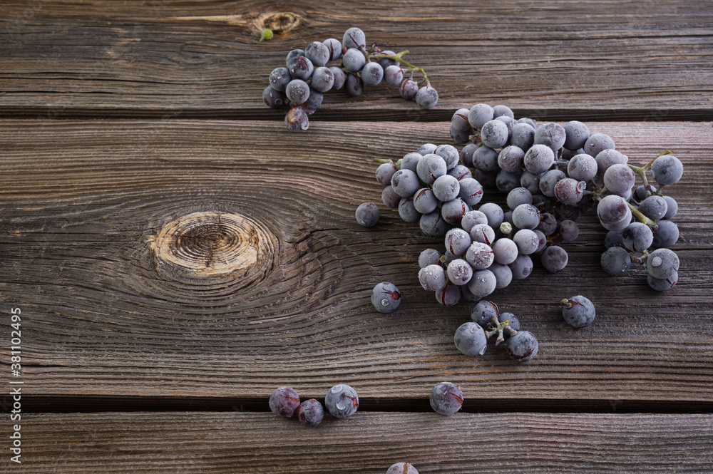 blue grapes with frost and hoarfrost on an old wooden table blue grapes with frost and hoarfrost on an old wooden table