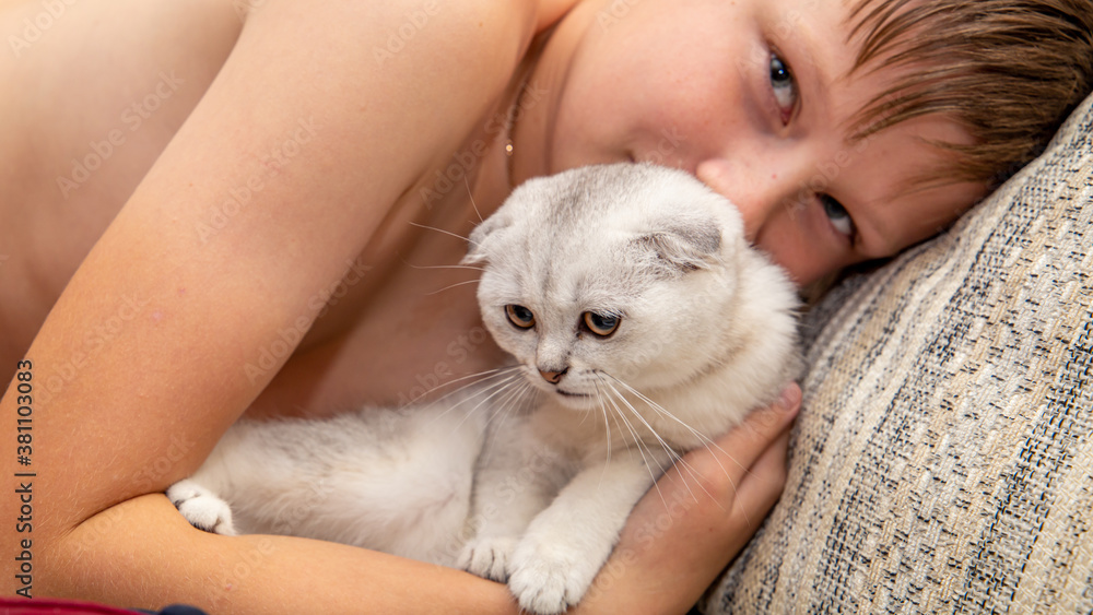 A teen boy playing cat on the sofa at home. Pets and children. A teen boy playing cat on the sofa at home. Pets and children.