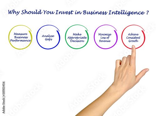 Why Should You Invest in Business Intelligence
