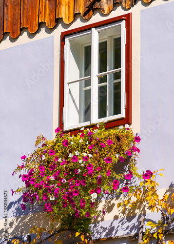 Closed Window with petunia decoration
