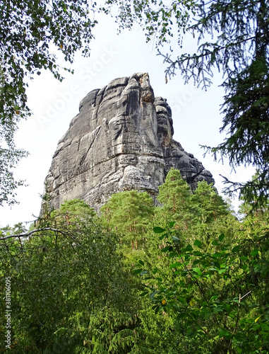 Falkenstein - Sächsische Schweiz