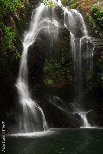 waterfall in the forest