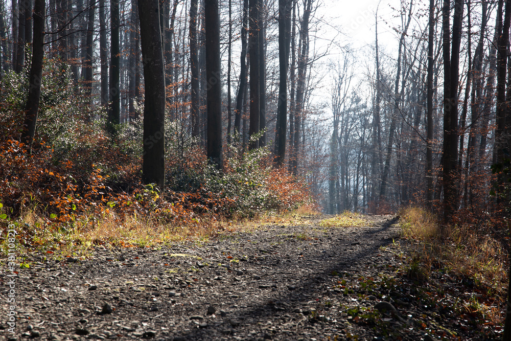 Kummerwald Kummerwald