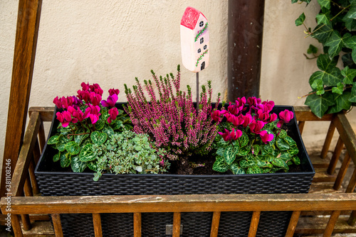 Behang Flowers in a flower box at a house