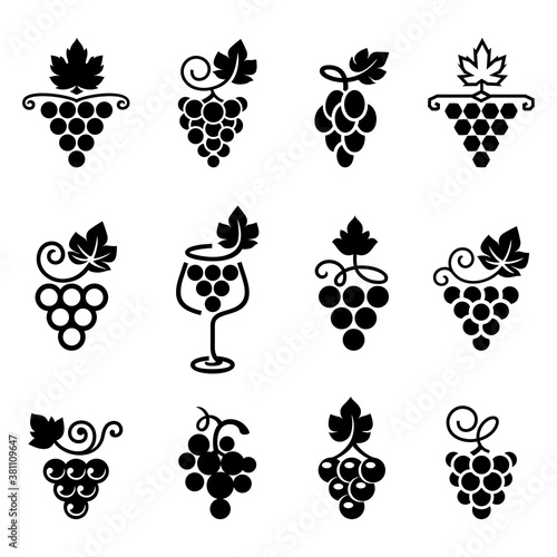Set of leaves, bunch of grapes in simple flat style. Logos, icons for wine design concept, wine or juice labels, grape seed oil,  winery, viticulture, healthy vegan food etc. Vector illustration.