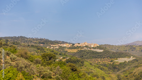 View on a village with buildings and vineyards in Liguria