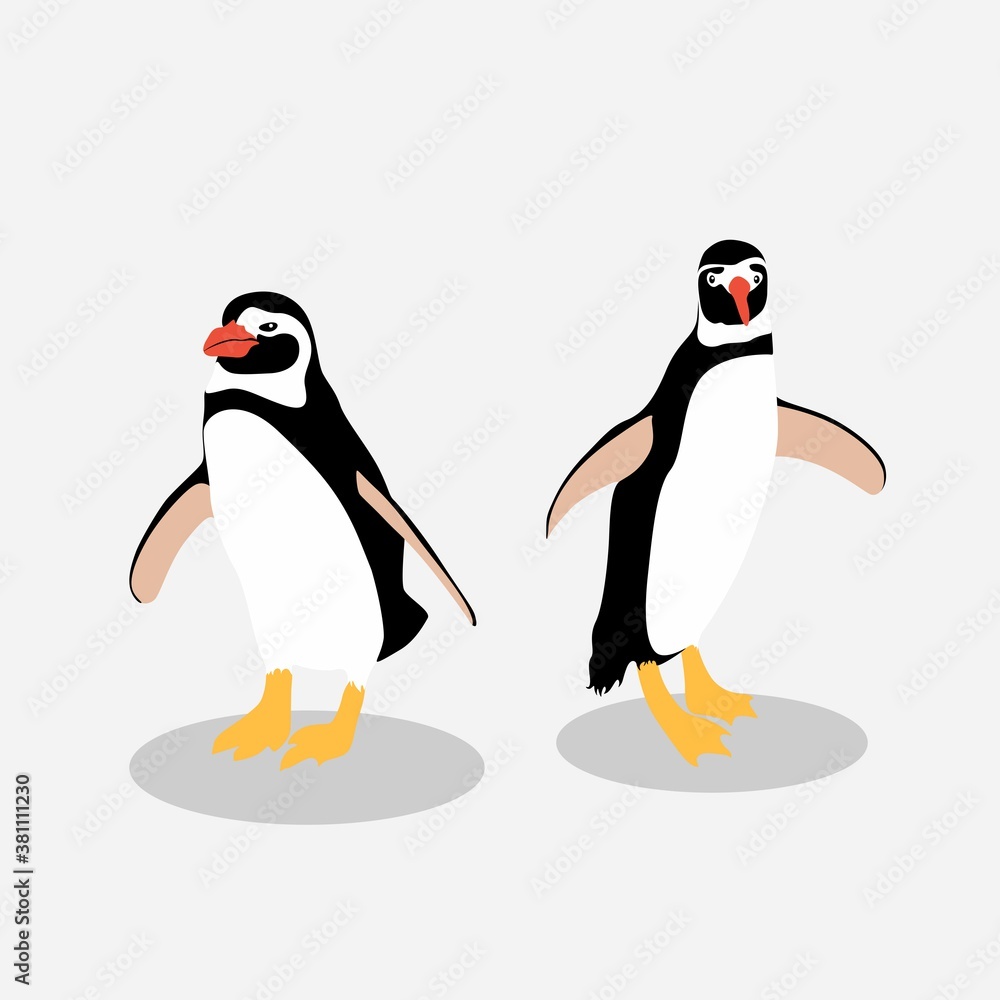 Obraz premium Illustration of a penguins couple on white background.