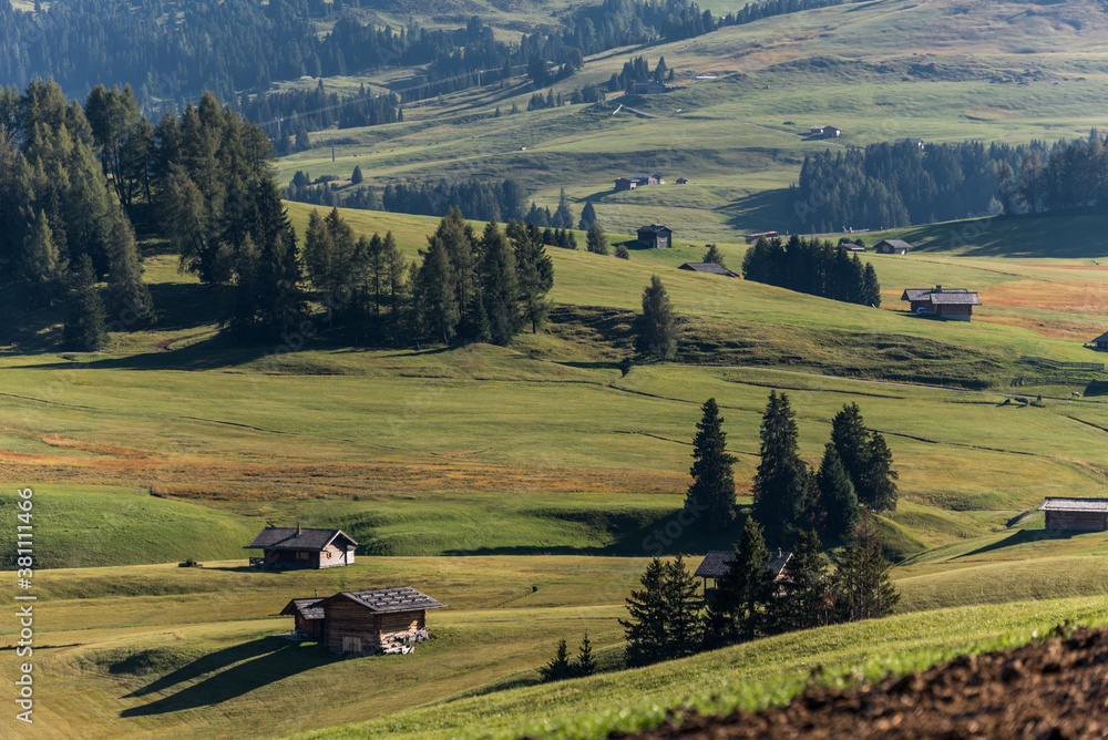 View of the largest high-altitude alpine meadow in Alpe di Siusi or Seiser Alm, Val Gardena, Dolomites, South Tyrol, Italy