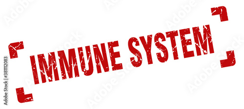 immune system stamp. square grunge sign isolated on white background