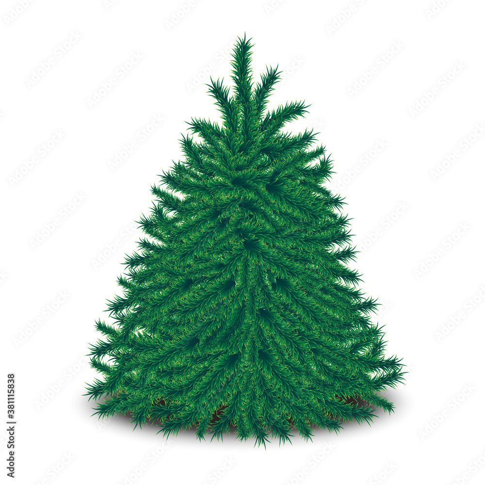 Fototapeta premium 3d realistic vector bushy unadorned Christmas tree isolated on white background. 