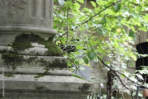 fountain in the park