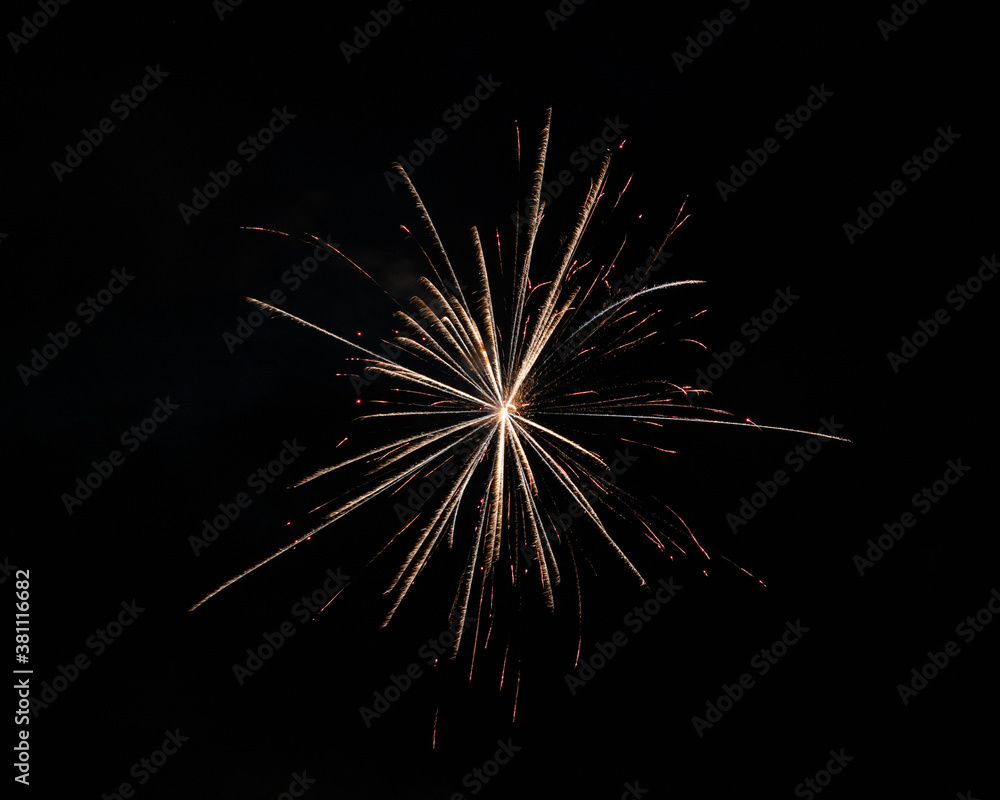 Fototapeta premium fireworks in the night sky