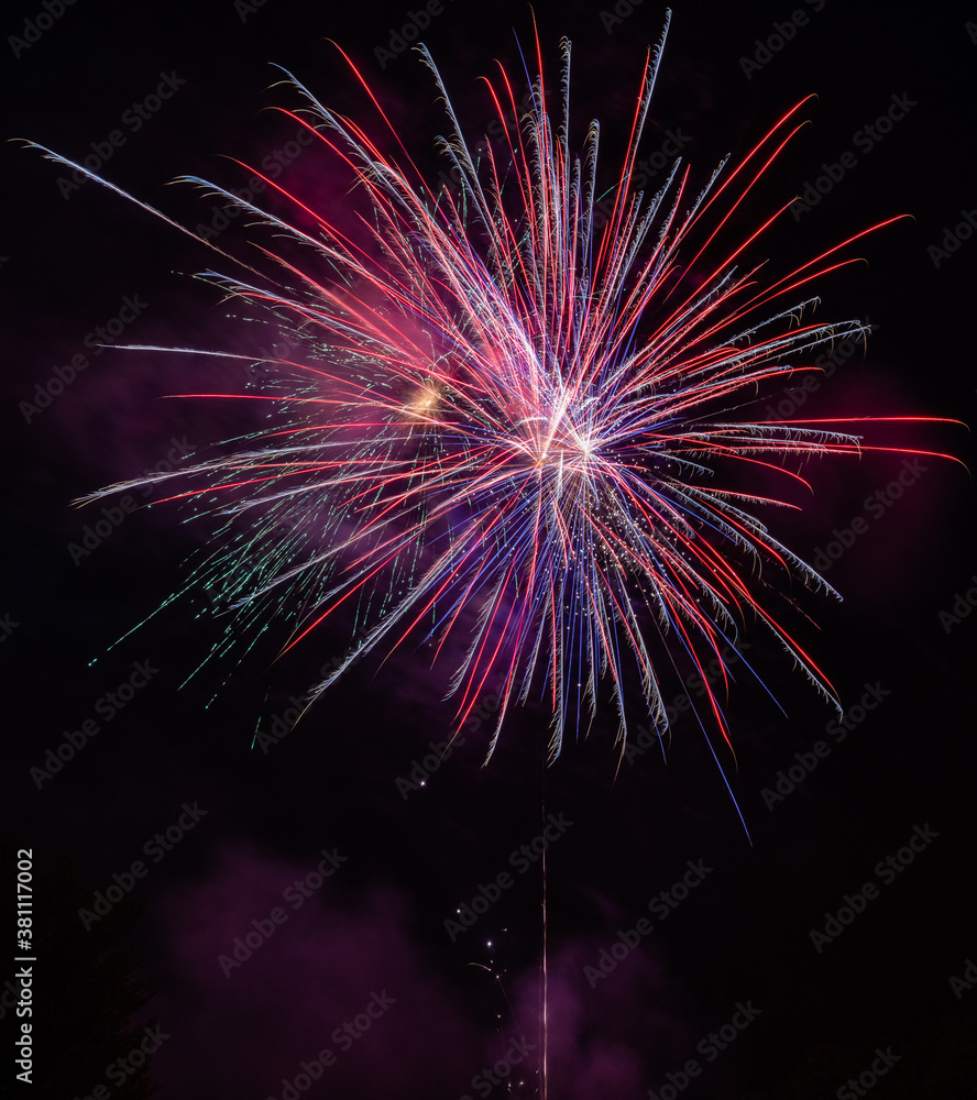 fireworks in the night sky fireworks in the night sky