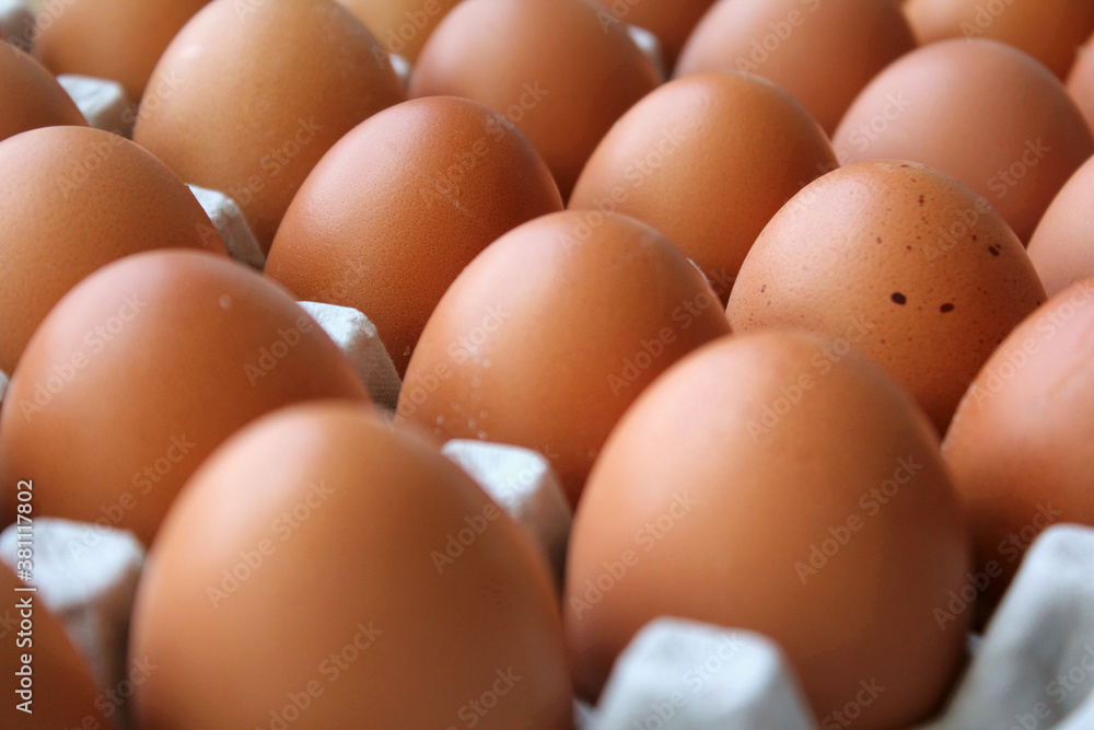 Eggs in egg tray