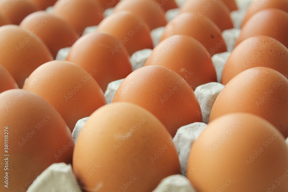 Eggs in egg tray Eggs in egg tray