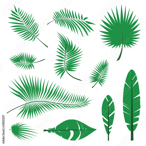 Palm Leaf Icon Collection, Jungle Leaves Silhouettes