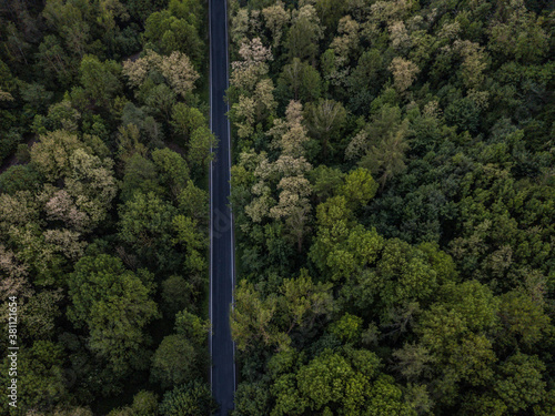 Road from the bird perspective