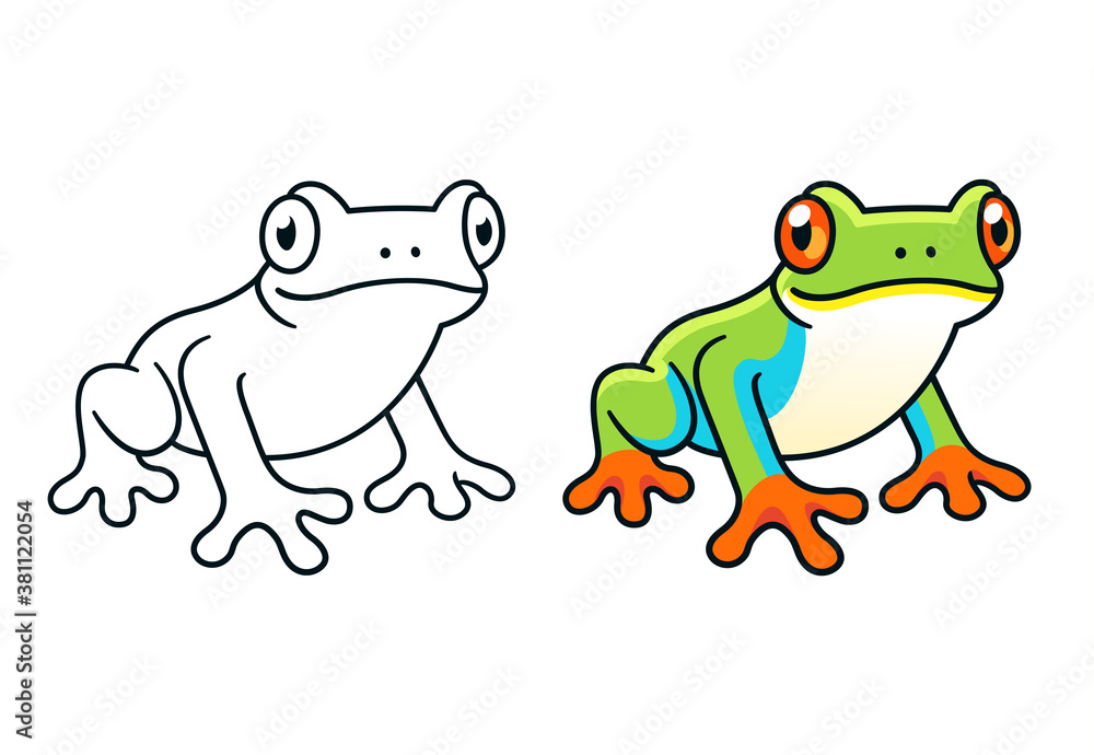 Red-Eyed Tree Frog Red-Eyed Tree Frog