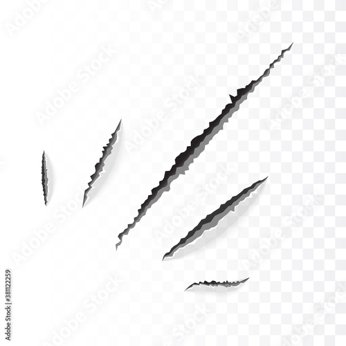 Five claw tear marks, scratches or cuts on white background