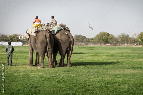 Photography Two men on elephants at the Holi Elephant Festival, Jaipur, Rajasthan, India