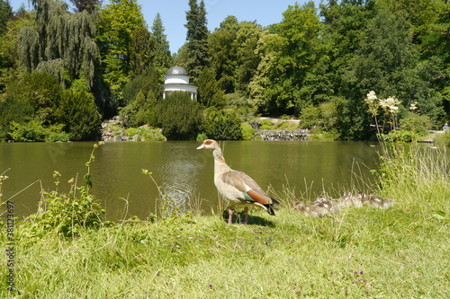 Ente Tempel Teich Bergpark Kassel Wilhelmshöhe photo