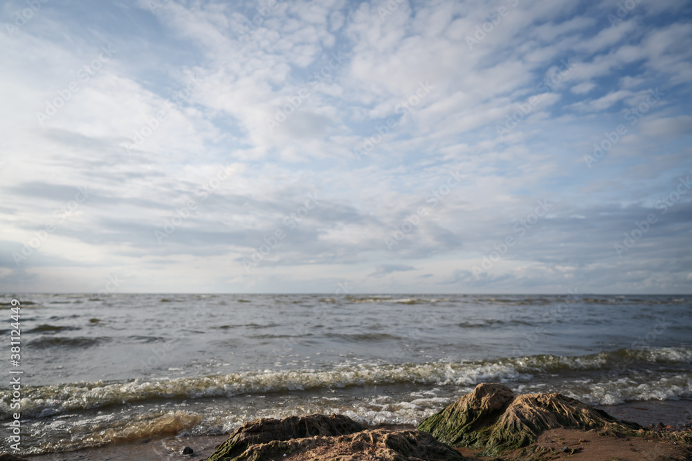 beach with shallow water and waterplants on a cloudy day beach with shallow water and waterplants on a cloudy day