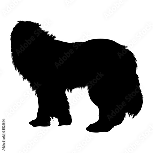 Newfoundland Standing On a Side View Silhouette Found In Map Of North America.
