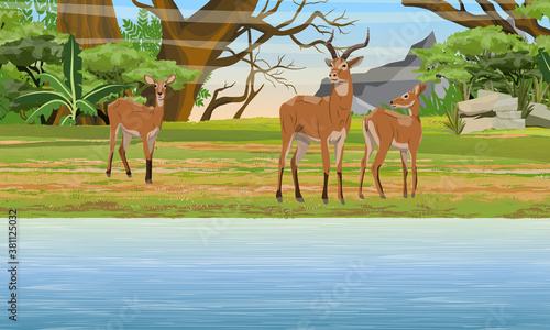 A herd of Cob antelopes on the bank of Great Lake. African savannah and bash. Wild mammals of central Africa. Realistic vector landscape