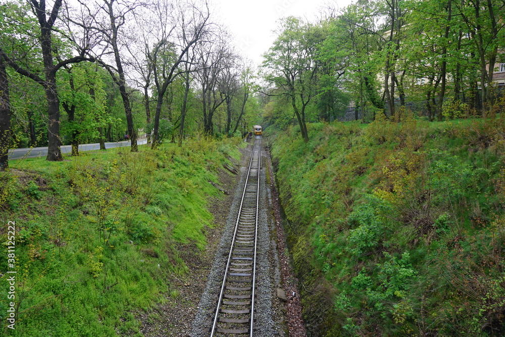 Fototapeta premium Railroad between the trees