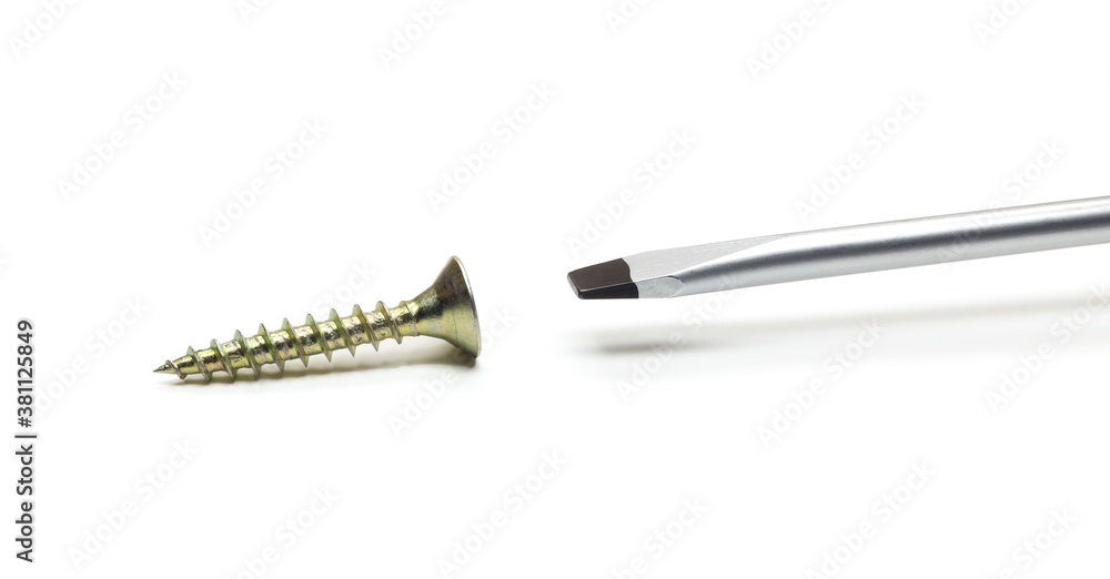 screwdriver and self-tapping screw isolated on white background screwdriver and self-tapping screw isolated on white background