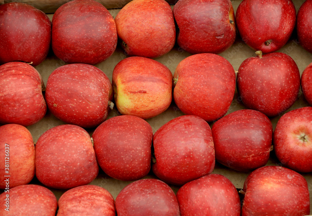 ripe apples display for sale on a farmers market ripe apples display for sale on a farmers market