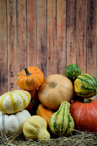 decorative mix of colored pumpkins