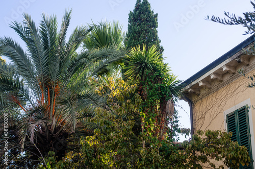 Green italian garden with different species of trees