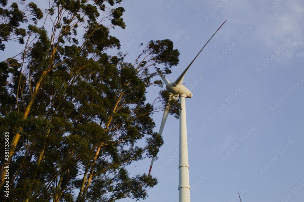 Wind turbines in a wind farm in Brazil