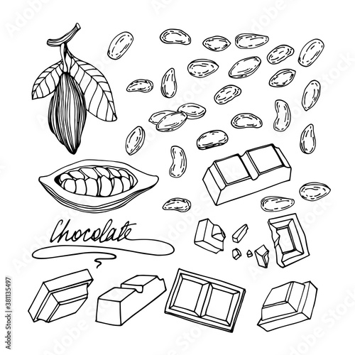 set of a cocoa tree elements, beans, cracked chocolate bar, for ornaments, menu decoration, vector illustration with black contour lines isolated on a white background in a doodle & hand drawn style