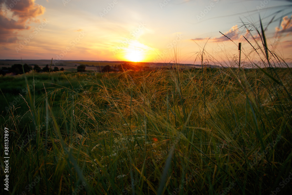 The morning sun and the orange sky. The beam of the sun hitting trees and flowers of grass.