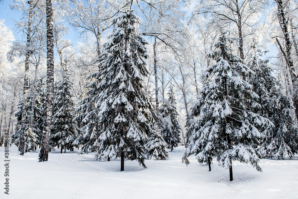 Obraz premium Winter Nature Landscape