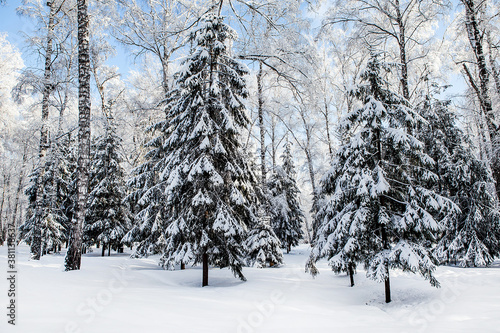 Wallpaper Mural Winter Nature Landscape Torontodigital.ca
