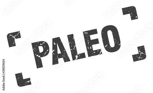 paleo stamp. square grunge sign isolated on white background