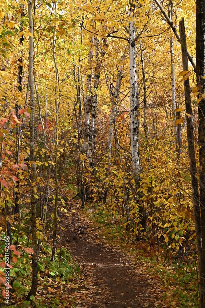 Fall landscapes with colorful scenes on the Superior Hiking Trail, Minnesota. 
