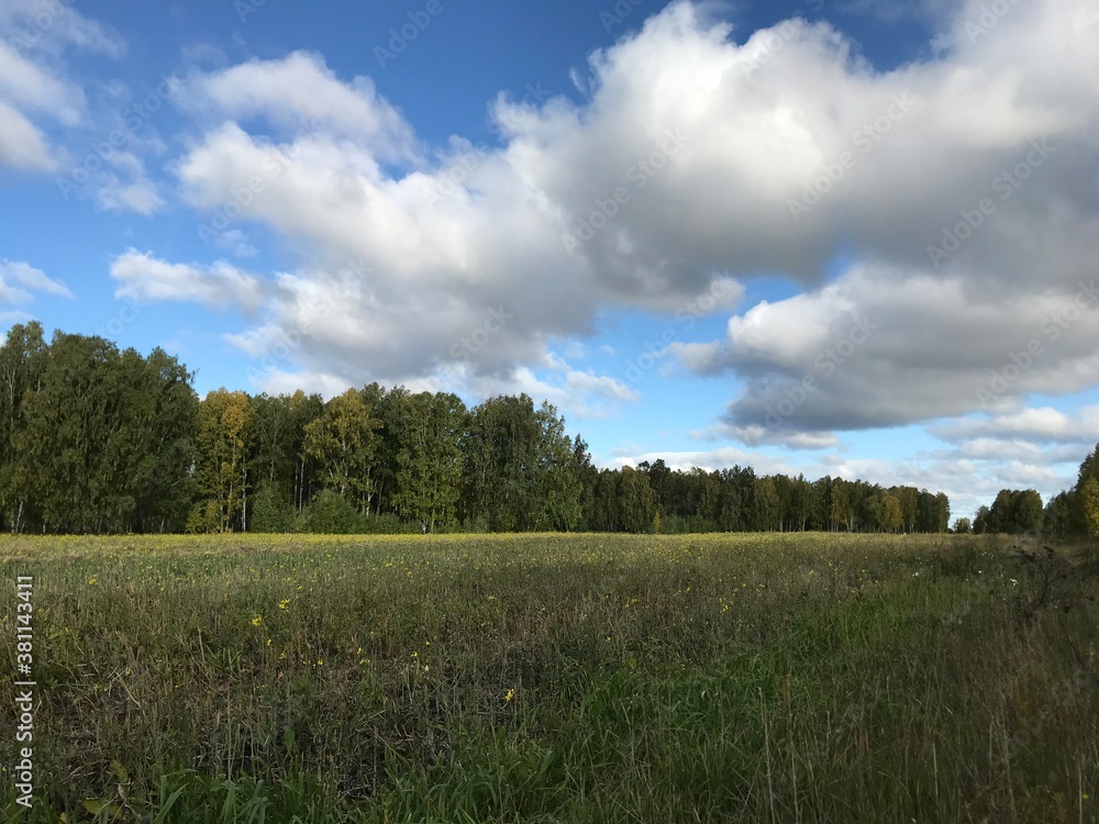 field and blue sky