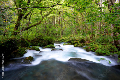 Oirase river in Aomori  Japan