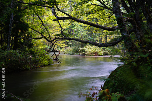 Oirase river in Aomori, Japan