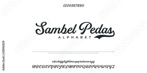 Abstract minimal Serif alphabet fonts. Typography technology vector illustration