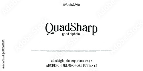 Custom font bundle script serif. Alphaber vector illustration