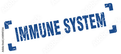 immune system stamp. square grunge sign isolated on white background
