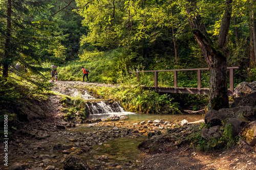 szczawnica, wąwóz homole photo