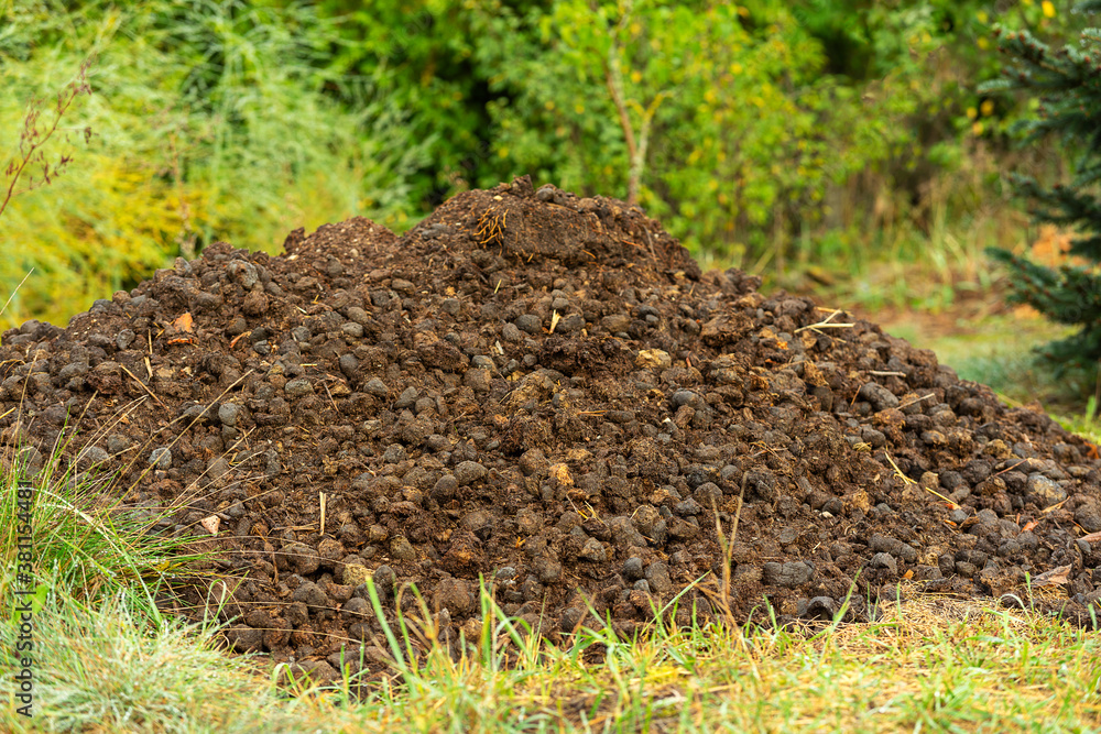Pferdemist - Pferdeapfel - Horse manure
Pferdemist - Pferdeapfel - Horse manure