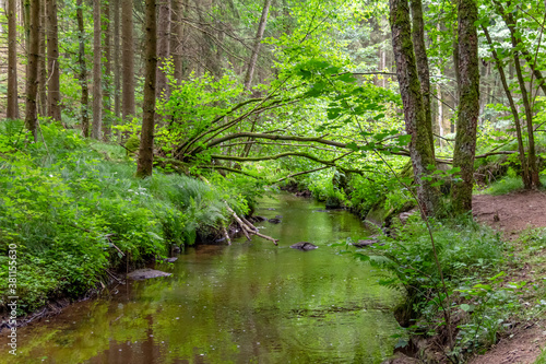 nature reserve in the Bavarian Forest