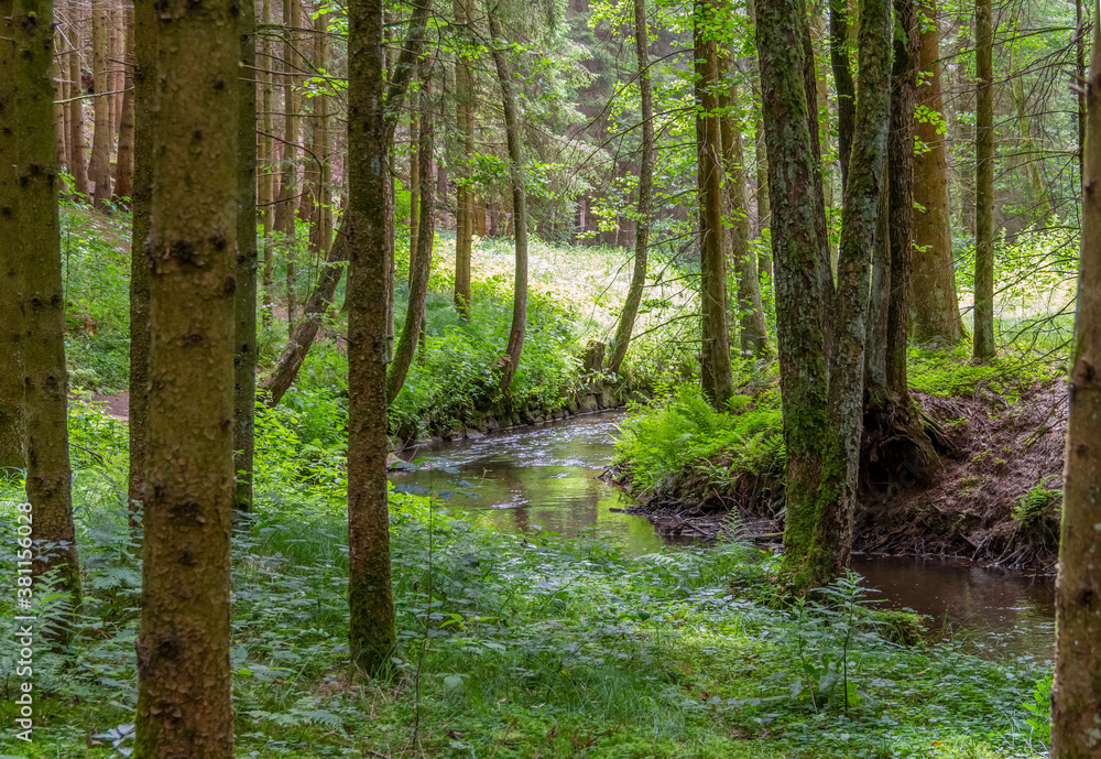 nature reserve in the Bavarian Forest nature reserve in the Bavarian Forest
